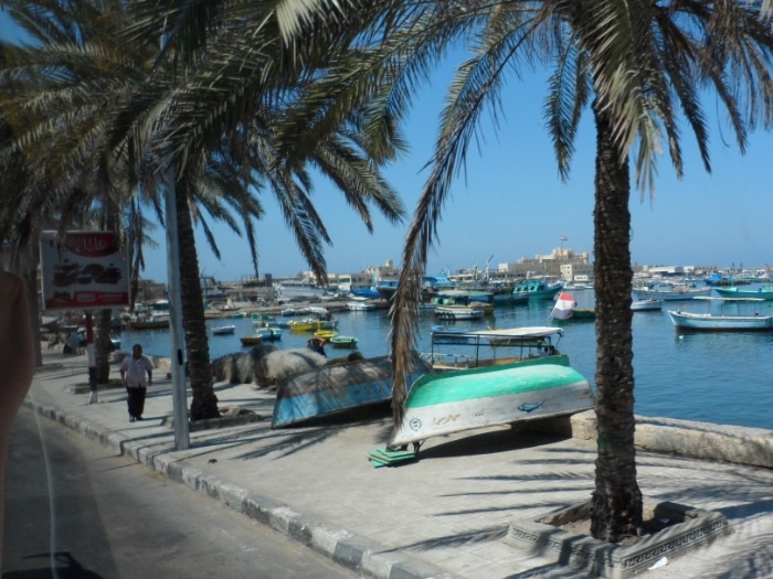 Boats in harbor