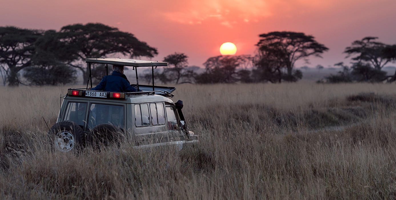 African Savannah Safari